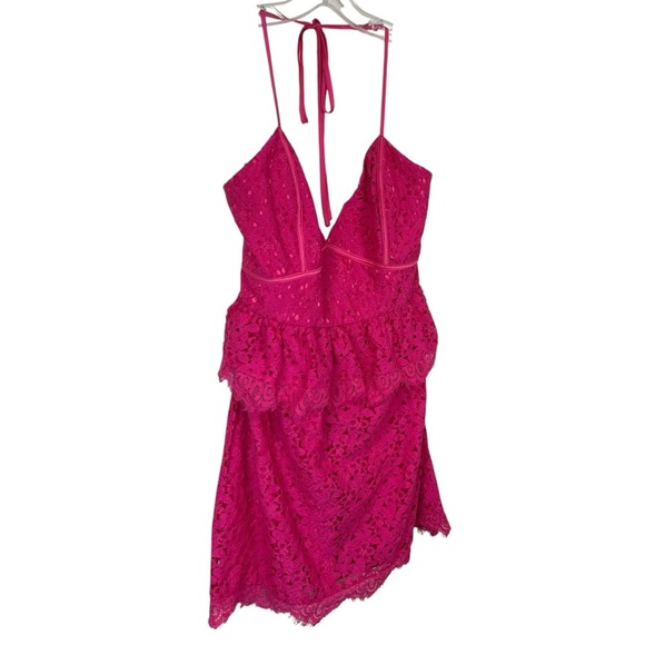 Lovers + Friends - NWT, Women’s Mini Lace ‘Rosanna’ Dress - Paradise Pink Medium - Picture 5 of 17